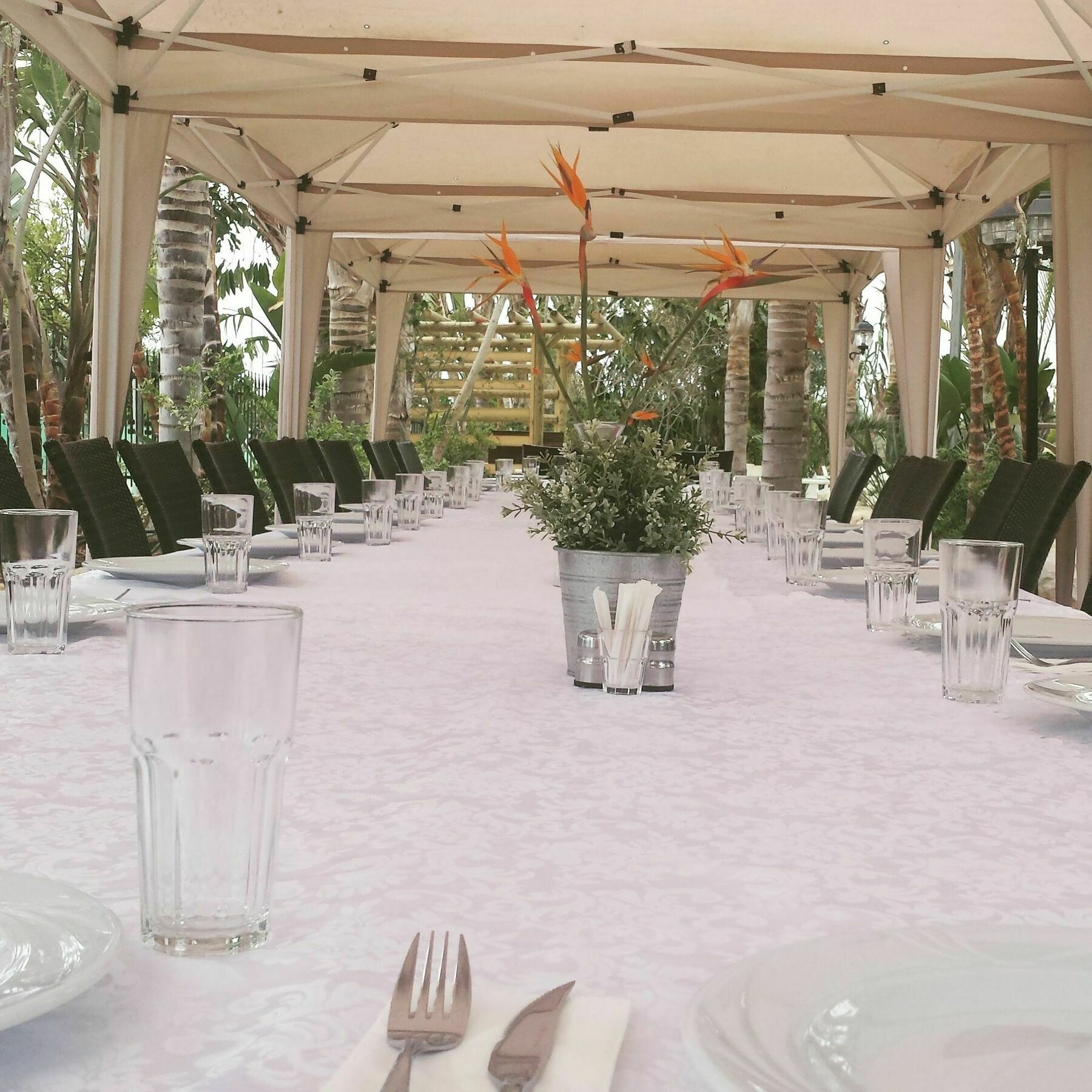 Lägenhetshotell La Casa Di Napa